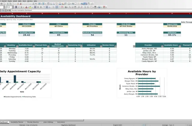 Capture 1 : feuille Dashboard — provider availability planner excel